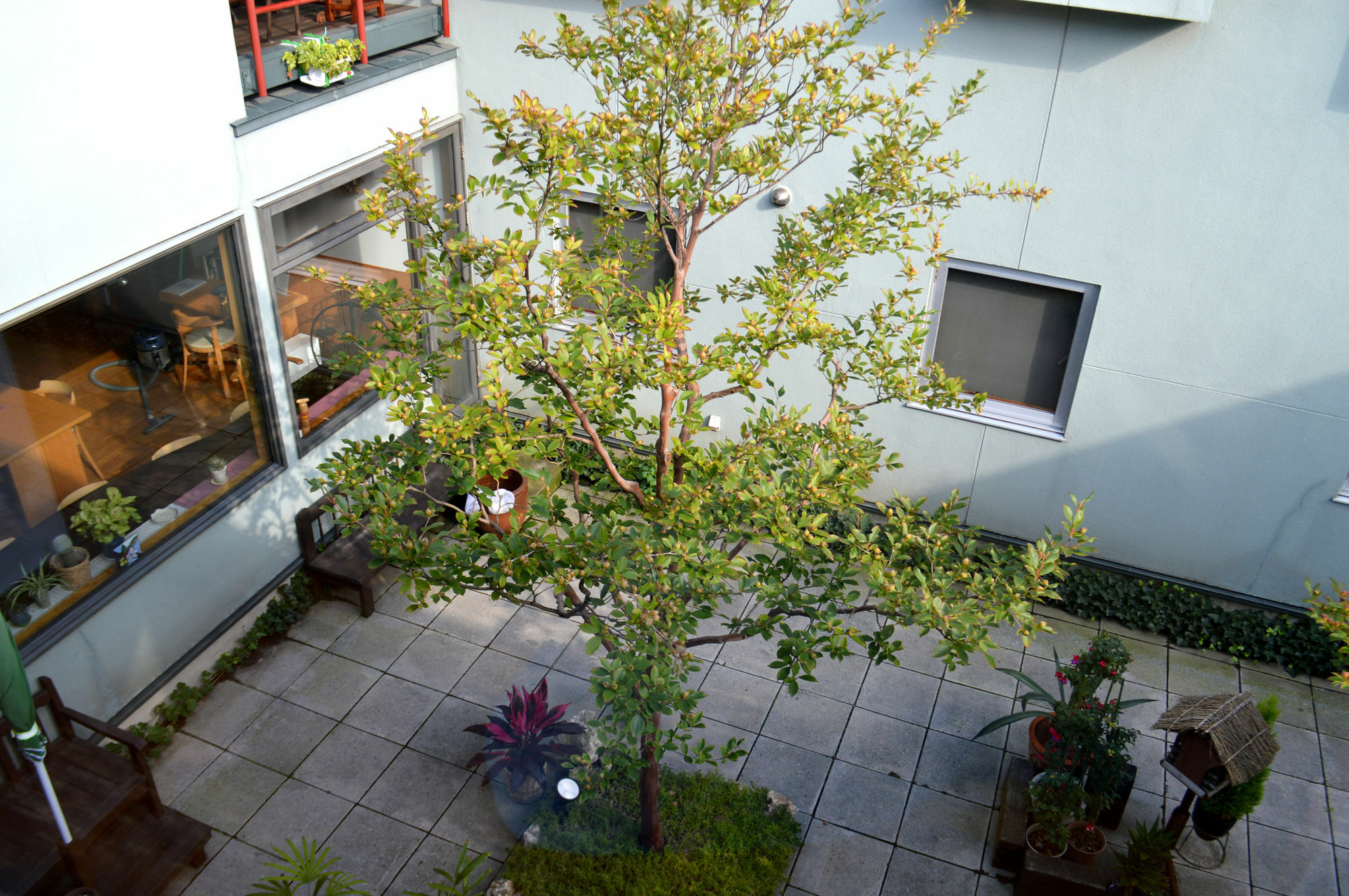 B&B Pension Hakodate-Mura מראה חיצוני תמונה